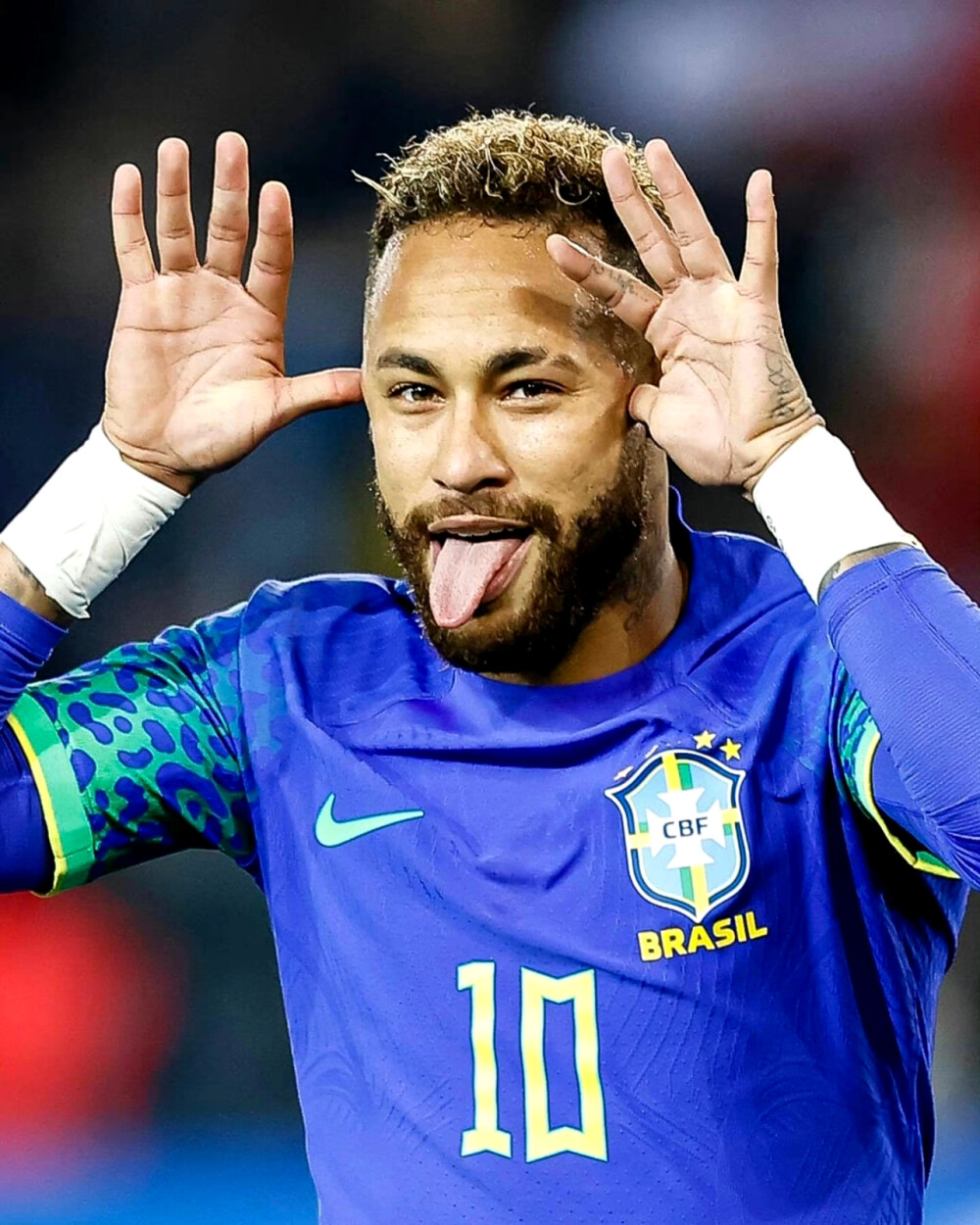 花在本赛季 花在本赛季