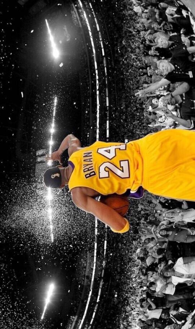 从品类看 从品类看