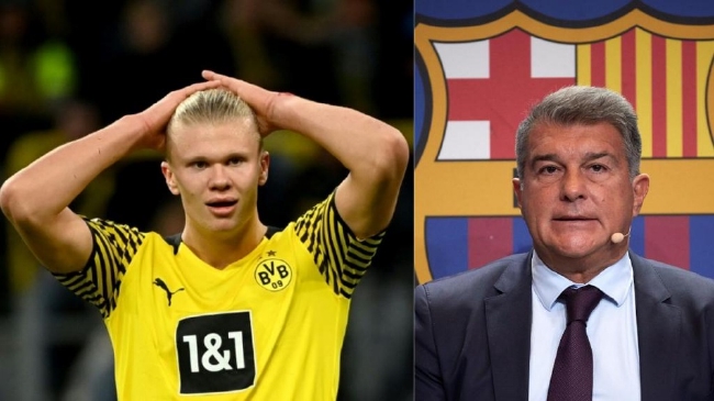 用一句话概 用一句话概